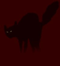 kissa 