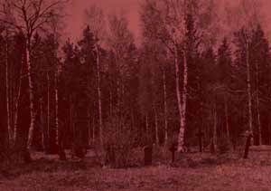 metsähautausmaa